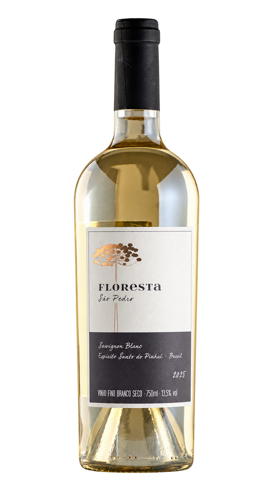 Sauvignon Blanc 2025